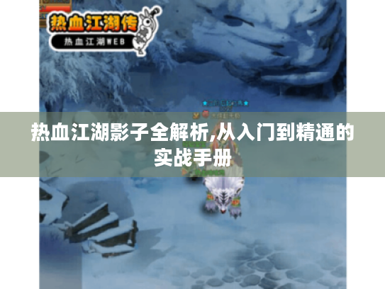 热血江湖影子全解析,从入门到精通的实战手册 热血江湖影子全解析,从入门到精通的实战手册