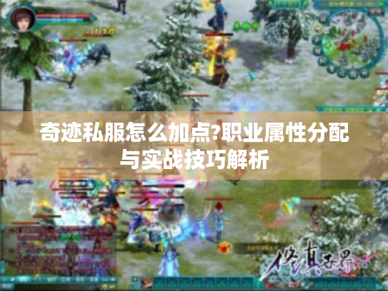 奇迹私服怎么加点?职业属性分配与实战技巧解析 奇迹私服怎么加点?职业属性分配与实战技巧解析