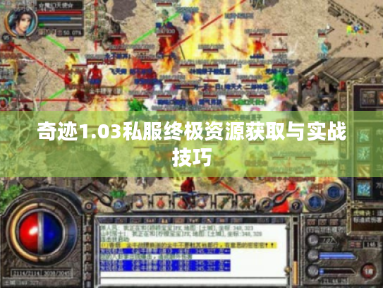 奇迹1.03私服终极资源获取与实战技巧