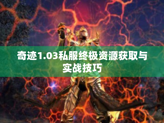 奇迹1.03私服终极资源获取与实战技巧