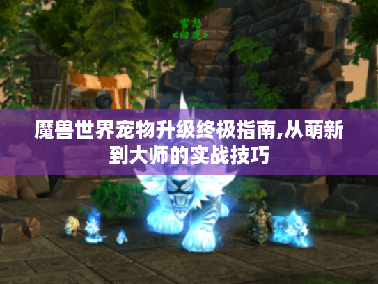 魔兽世界宠物升级终极指南,从萌新到大师的实战技巧 魔兽世界宠物升级终极指南,从萌新到大师的实战技巧
