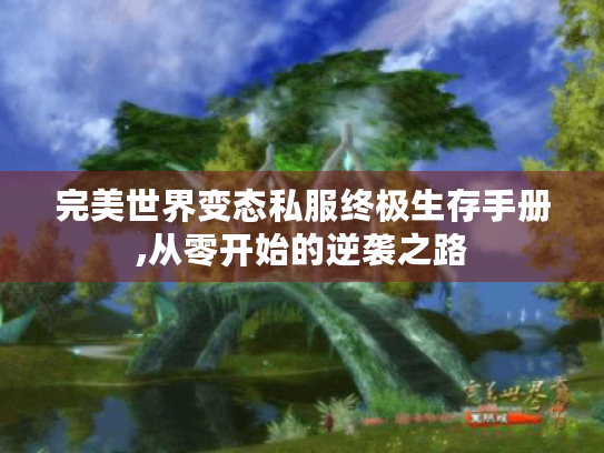 完美世界变态私服终极生存手册,从零开始的逆袭之路 完美世界变态私服终极生存手册,从零开始的逆袭之路