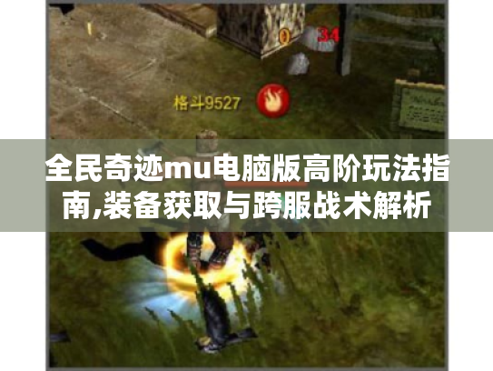 全民奇迹mu电脑版高阶玩法指南,装备获取与跨服战术解析 全民奇迹mu电脑版高阶玩法指南,装备获取与跨服战术解析