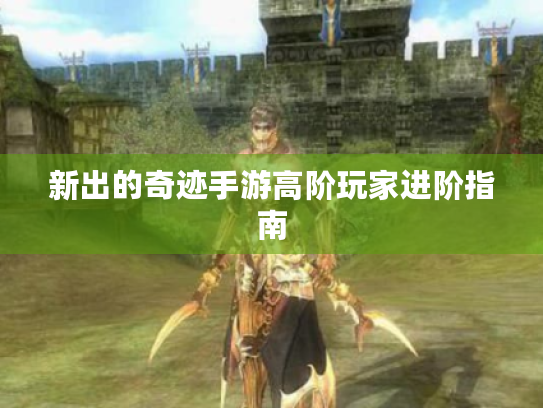 新出的奇迹手游高阶玩家进阶指南