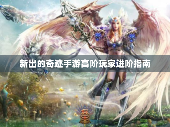 新出的奇迹手游高阶玩家进阶指南