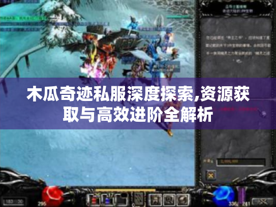 木瓜奇迹私服深度探索,资源获取与高效进阶全解析