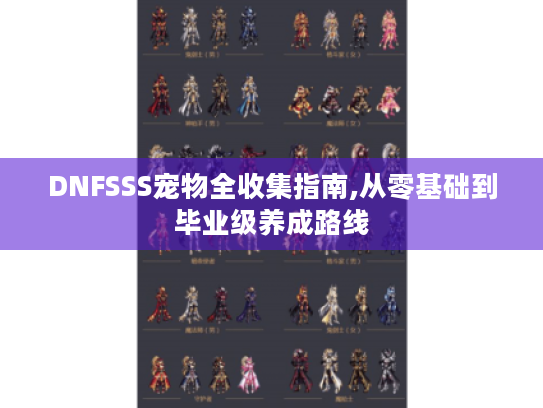 DNFSSS宠物全收集指南,从零基础到毕业级养成路线 DNFSSS宠物全收集指南,从零基础到毕业级养成路线