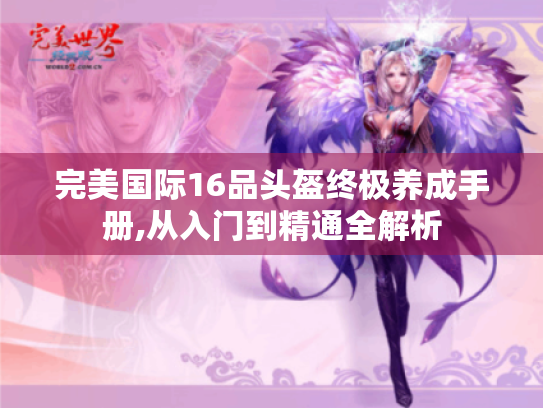 完美国际16品头盔终极养成手册,从入门到精通全解析 完美国际16品头盔终极养成手册,从入门到精通全解析