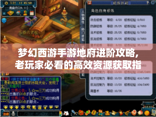 梦幻西游手游地府进阶攻略,老玩家必看的高效资源获取指南