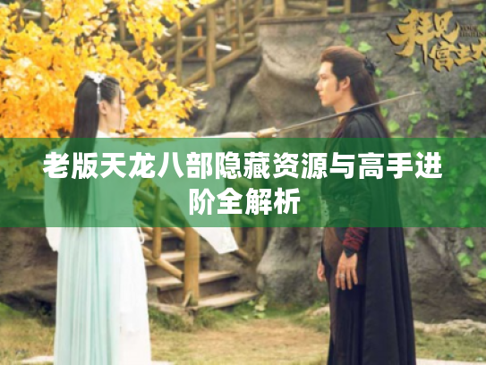 老版天龙八部隐藏资源与高手进阶全解析 老版天龙八部隐藏资源与高手进阶全解析
