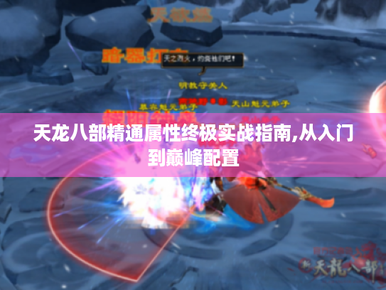 天龙八部精通属性终极实战指南,从入门到巅峰配置 天龙八部精通属性终极实战指南,从入门到巅峰配置