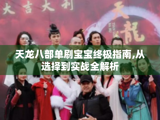 天龙八部单刷宝宝终极指南,从选择到实战全解析 天龙八部单刷宝宝终极指南,从选择到实战全解析