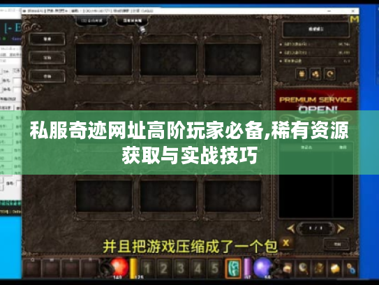 私服奇迹网址高阶玩家必备,稀有资源获取与实战技巧 私服奇迹网址高阶玩家必备,稀有资源获取与实战技巧