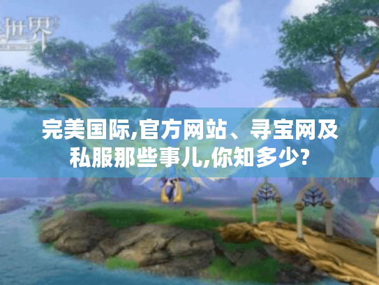完美国际,官方网站、寻宝网及私服那些事儿,你知多少?