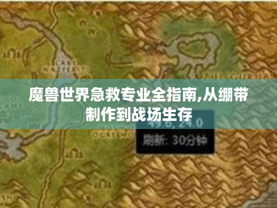 魔兽世界急救专业全指南,从绷带制作到战场生存 魔兽世界急救专业全指南,从绷带制作到战场生存