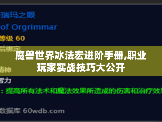 魔兽世界冰法宏进阶手册,职业玩家实战技巧大公开 魔兽世界冰法宏进阶手册,职业玩家实战技巧大公开
