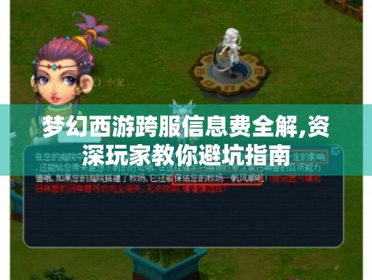 梦幻西游跨服信息费全解,资深玩家教你避坑指南 梦幻西游跨服信息费全解,资深玩家教你避坑指南