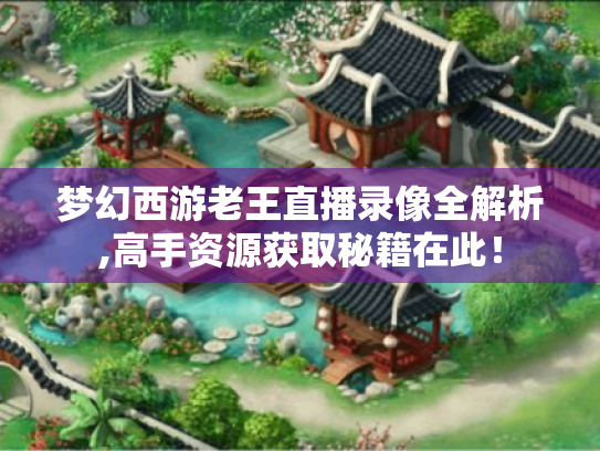 梦幻西游老王直播录像全解析,高手资源获取秘籍在此! 梦幻西游老王直播录像全解析,高手资源获取秘籍在此!