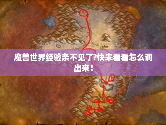 魔兽世界经验条不见了?快来看看怎么调出来! 魔兽世界经验条不见了?快来看看怎么调出来!