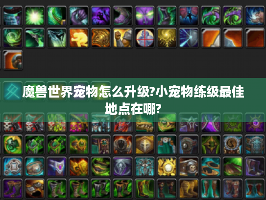 魔兽世界宠物怎么升级?小宠物练级最佳地点在哪? 魔兽世界宠物怎么升级?小宠物练级最佳地点在哪?