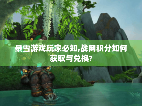 暴雪游戏玩家必知,战网积分如何获取与兑换? 暴雪游戏玩家必知,战网积分如何获取与兑换?