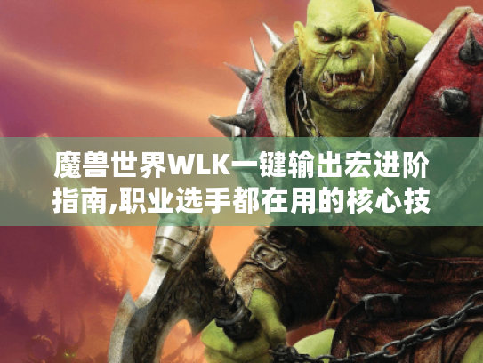 魔兽世界WLK一键输出宏进阶指南,职业选手都在用的核心技巧 魔兽世界WLK一键输出宏进阶指南,职业选手都在用的核心技巧