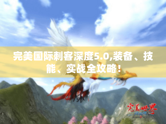 完美国际刺客深度5.0,装备、技能、实战全攻略! 完美国际刺客深度5.0,装备、技能、实战全攻略!