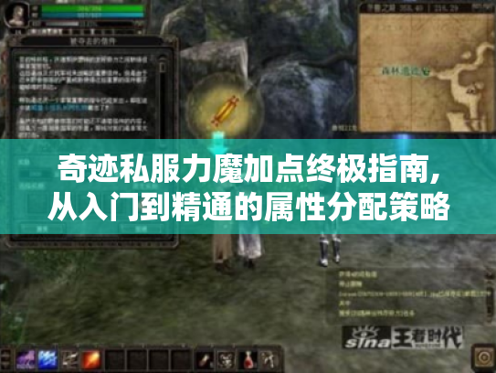 奇迹私服力魔加点终极指南,从入门到精通的属性分配策略 奇迹私服力魔加点终极指南,从入门到精通的属性分配策略