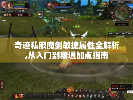 奇迹私服魔剑敏捷属性全解析,从入门到精通加点指南 奇迹私服魔剑敏捷属性全解析,从入门到精通加点指南