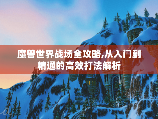 魔兽世界战场全攻略,从入门到精通的高效打法解析 魔兽世界战场全攻略,从入门到精通的高效打法解析