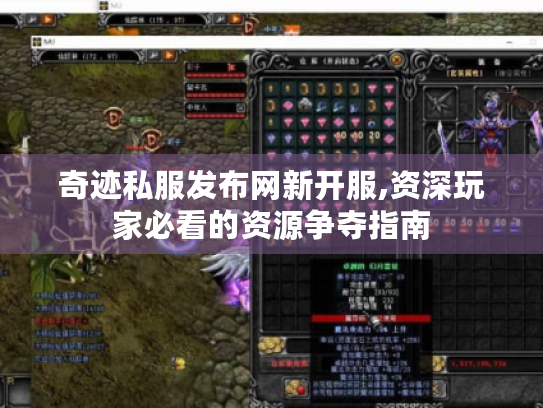 奇迹私服发布网新开服,资深玩家必看的资源争夺指南 奇迹私服发布网新开服,资深玩家必看的资源争夺指南