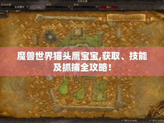 魔兽世界猫头鹰宝宝,获取、技能及抓捕全攻略! 魔兽世界猫头鹰宝宝,获取、技能及抓捕全攻略!