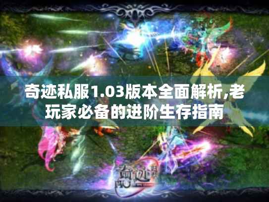 奇迹私服1.03版本全面解析,老玩家必备的进阶生存指南 奇迹私服1.03版本全面解析,老玩家必备的进阶生存指南