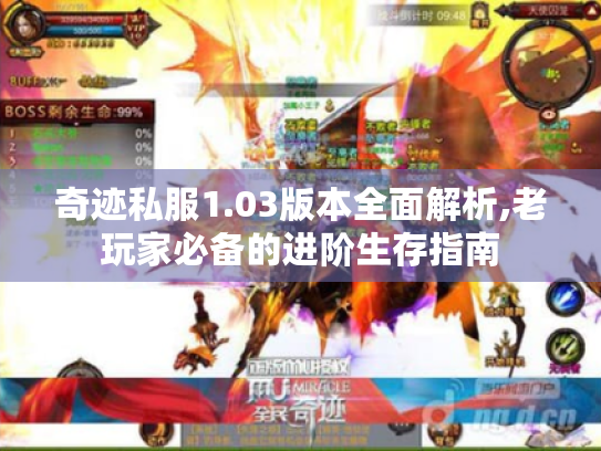 奇迹私服1.03版本全面解析,老玩家必备的进阶生存指南 奇迹私服1.03版本全面解析,老玩家必备的进阶生存指南