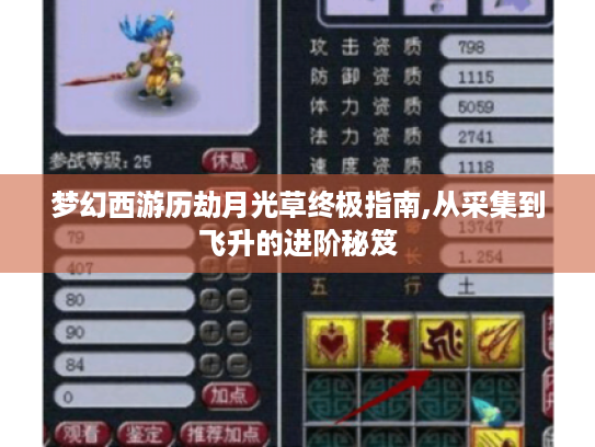 梦幻西游历劫月光草终极指南,从采集到飞升的进阶秘笈 梦幻西游历劫月光草终极指南,从采集到飞升的进阶秘笈