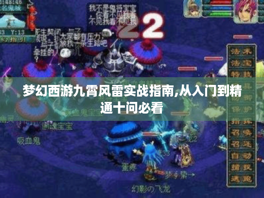 梦幻西游九霄风雷实战指南,从入门到精通十问必看 梦幻西游九霄风雷实战指南,从入门到精通十问必看