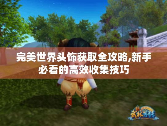完美世界头饰获取全攻略,新手必看的高效收集技巧 完美世界头饰获取全攻略,新手必看的高效收集技巧