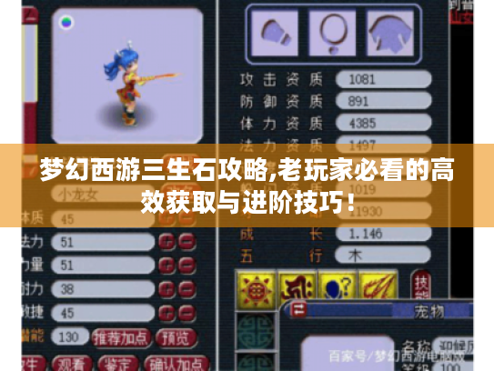 梦幻西游三生石攻略,老玩家必看的高效获取与进阶技巧! 梦幻西游三生石攻略,老玩家必看的高效获取与进阶技巧!