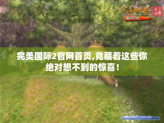 完美国际2官网首页,竟藏着这些你绝对想不到的惊喜! 完美国际2官网首页,竟藏着这些你绝对想不到的惊喜!