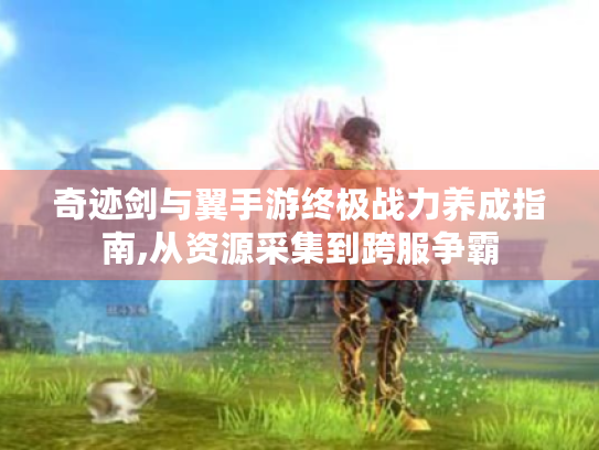 奇迹剑与翼手游终极战力养成指南,从资源采集到跨服争霸 奇迹剑与翼手游终极战力养成指南,从资源采集到跨服争霸