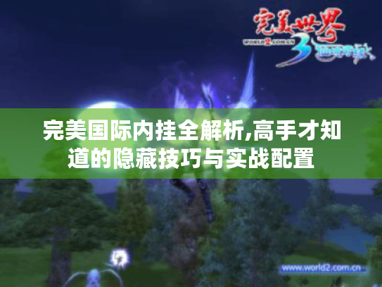 完美国际内挂全解析,高手才知道的隐藏技巧与实战配置 完美国际内挂全解析,高手才知道的隐藏技巧与实战配置