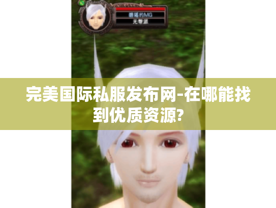 完美国际私服发布网-在哪能找到优质资源? 完美国际私服发布网-在哪能找到优质资源?