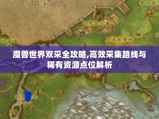 魔兽世界双采全攻略,高效采集路线与稀有资源点位解析 魔兽世界双采全攻略,高效采集路线与稀有资源点位解析