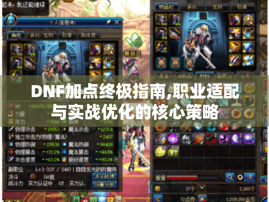 DNF加点终极指南,职业适配与实战优化的核心策略 DNF加点终极指南,职业适配与实战优化的核心策略