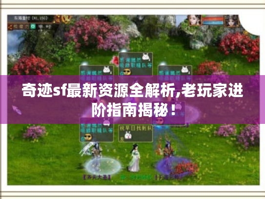 奇迹sf最新资源全解析,老玩家进阶指南揭秘! 奇迹sf最新资源全解析,老玩家进阶指南揭秘!