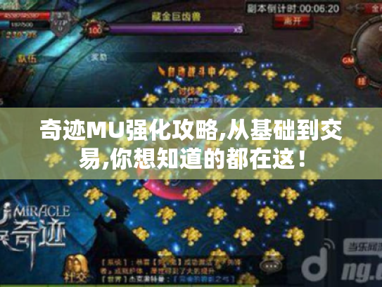 奇迹MU强化攻略,从基础到交易,你想知道的都在这! 奇迹MU强化攻略,从基础到交易,你想知道的都在这!
