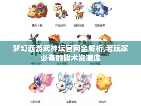 梦幻西游武神坛官网全解析,老玩家必备的战术资源库 梦幻西游武神坛官网全解析,老玩家必备的战术资源库