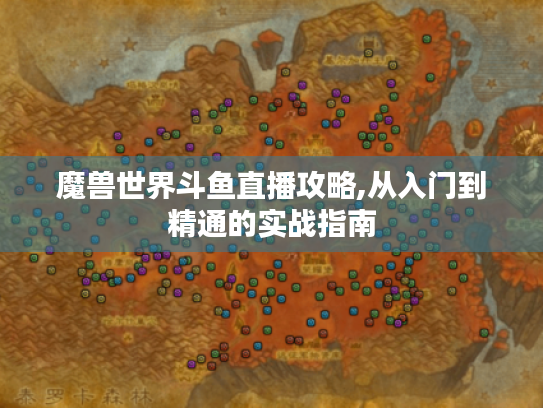 魔兽世界斗鱼直播攻略,从入门到精通的实战指南 魔兽世界斗鱼直播攻略,从入门到精通的实战指南