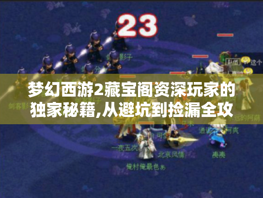 梦幻西游2藏宝阁资深玩家的独家秘籍,从避坑到捡漏全攻略 梦幻西游2藏宝阁资深玩家的独家秘籍,从避坑到捡漏全攻略