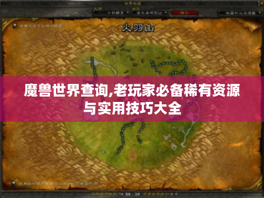 魔兽世界查询,老玩家必备稀有资源与实用技巧大全 魔兽世界查询,老玩家必备稀有资源与实用技巧大全